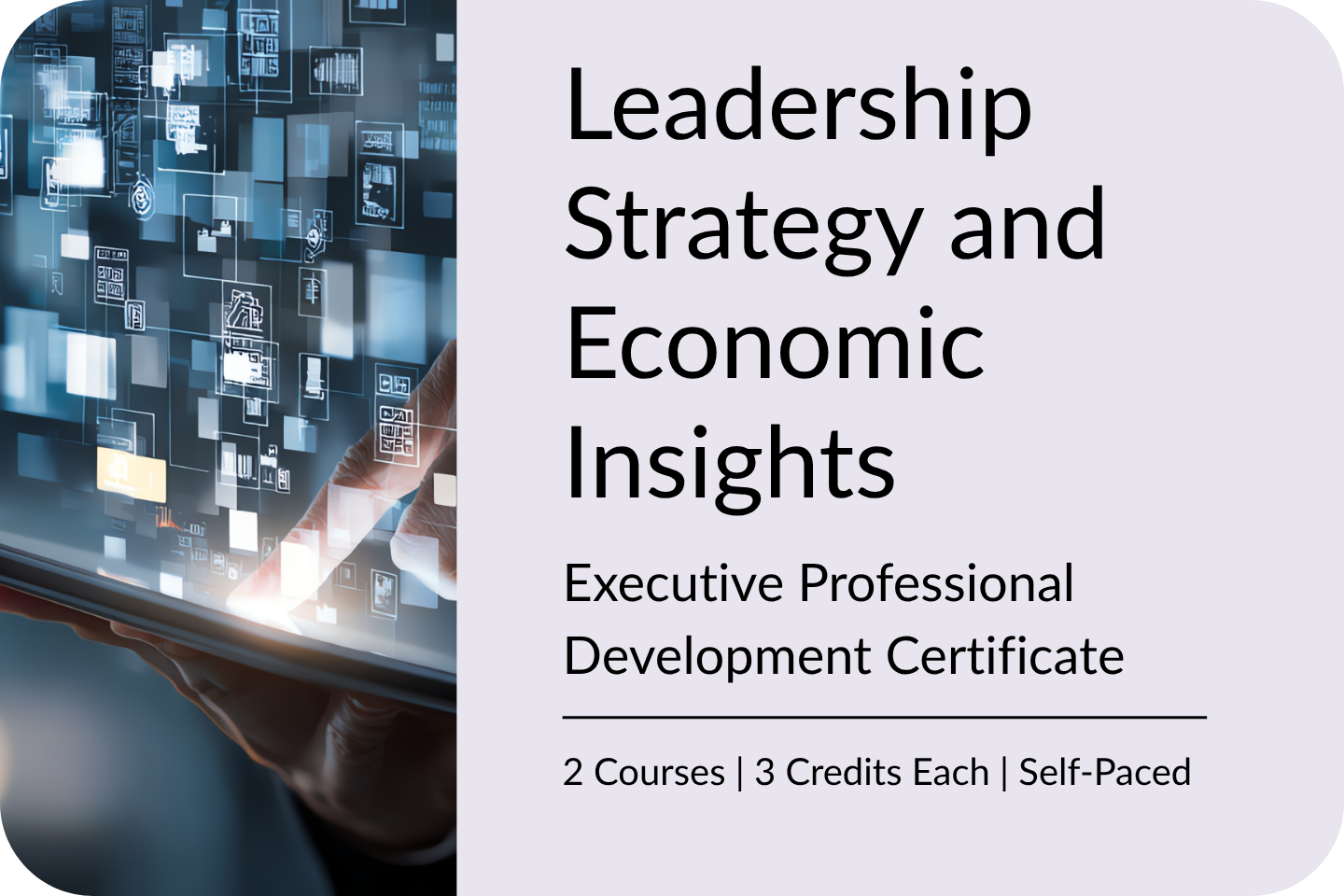 IMAGE 2 Grad Cert TalentLMS Leadership strategy and ecconomic insights Exec PD Cert (1)