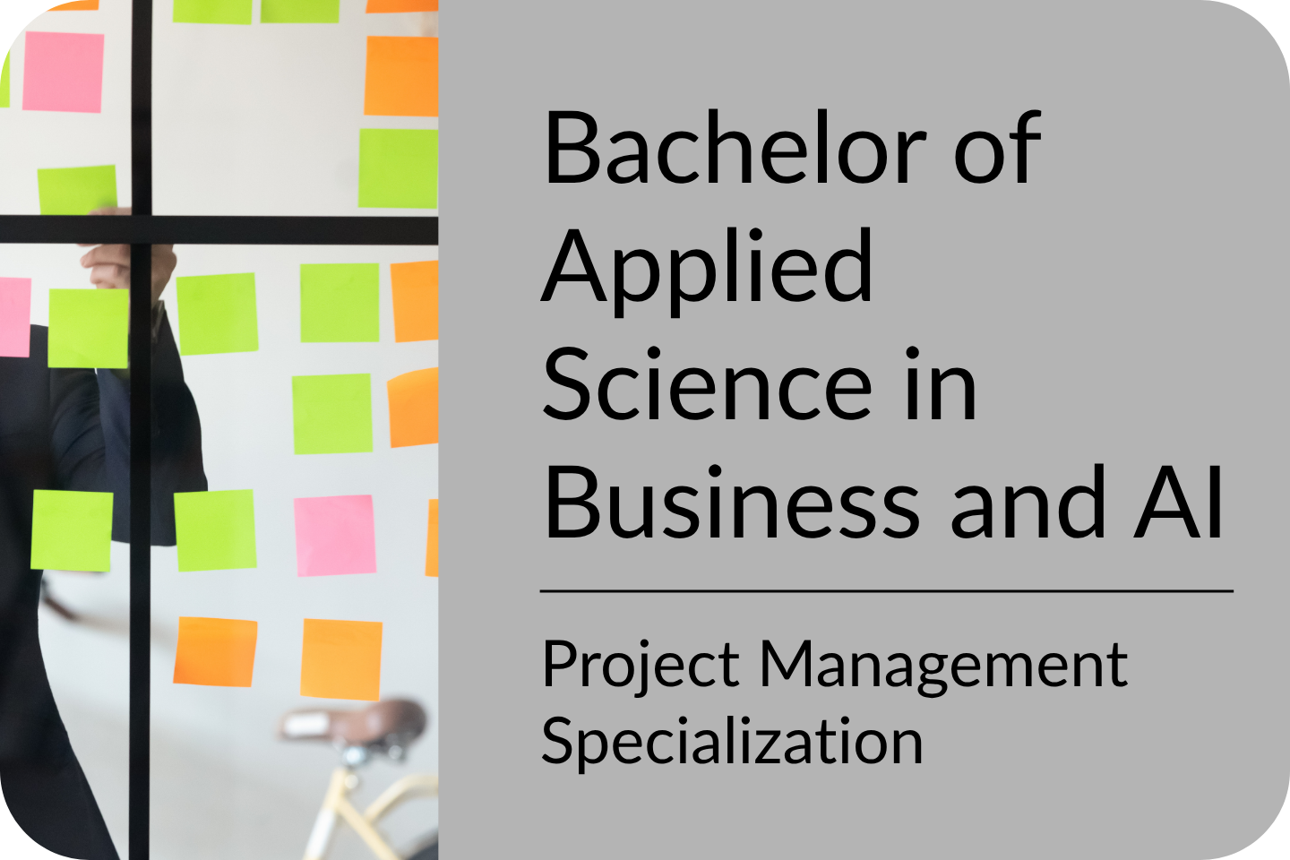 IMAGE Bachelor of AS  Specialization in Project Management 7-29-26