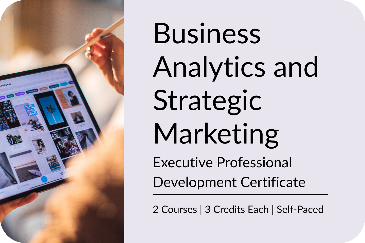 IMAGE Grad Cert TalentLMS Business Analytics and Strategic Marketing Exec PD Cert 7-29-26-1