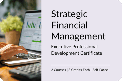 IMAGE Grad Cert TalentLMS Strategic Financial Management Exec PD Cert 7-29-26