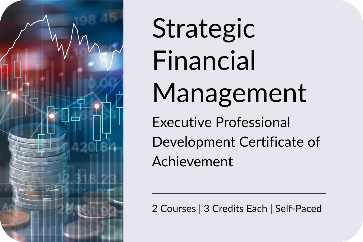 IMAGE Grad Cert TalentLMS strategic financial management Exec PD Cert